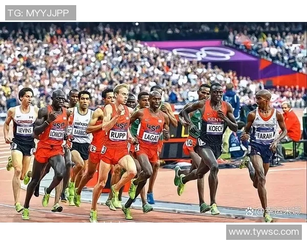 探索体育的力量与魅力：从竞技精神到全民健身的全面发展之路