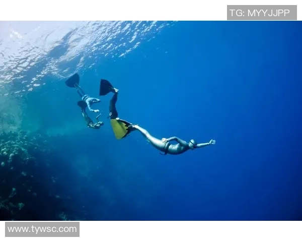 跳水运动的力量与优雅探索人类极限与水上艺术完美结合