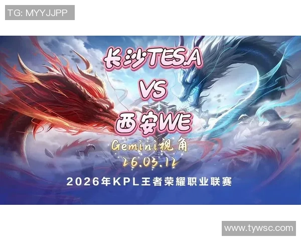 长沙TESA战队新赛季全力出击誓夺荣耀再创王者荣耀巅峰